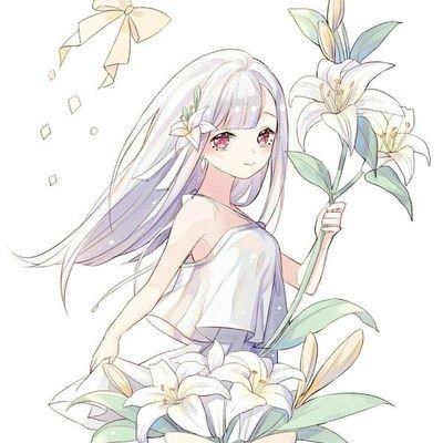 智界V9